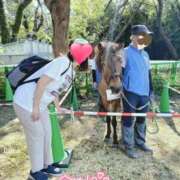 ヒメ日記 2024/12/14 12:05 投稿 りか 横浜人妻花壇本店