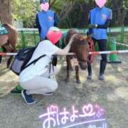 ヒメ日記 2024/12/22 12:31 投稿 りか 横浜人妻花壇本店