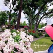 ヒメ日記 2024/12/24 08:02 投稿 りか 横浜人妻花壇本店