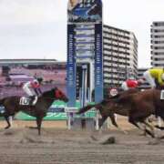 ヒメ日記 2024/12/28 13:04 投稿 りか 横浜人妻花壇本店