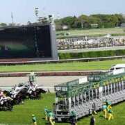 ヒメ日記 2024/12/29 12:11 投稿 りか 横浜人妻花壇本店