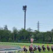 ヒメ日記 2025/01/03 12:03 投稿 りか 横浜人妻花壇本店