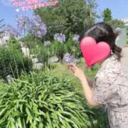 ヒメ日記 2025/01/06 10:04 投稿 りか 横浜人妻花壇本店