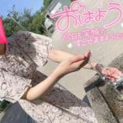 ヒメ日記 2025/01/24 12:05 投稿 りか 横浜人妻花壇本店