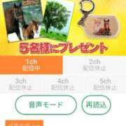 ヒメ日記 2025/01/29 08:00 投稿 りか 横浜人妻花壇本店