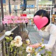 ヒメ日記 2025/02/12 17:15 投稿 りか 横浜人妻花壇本店