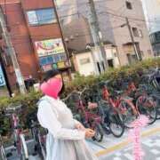 ヒメ日記 2025/02/27 12:01 投稿 りか 横浜人妻花壇本店