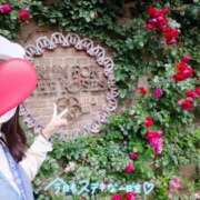 ヒメ日記 2025/03/02 12:02 投稿 りか 横浜人妻花壇本店