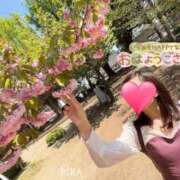 ヒメ日記 2025/03/07 12:01 投稿 りか 横浜人妻花壇本店