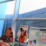 ヒメ日記 2025/03/08 15:00 投稿 りか 横浜人妻花壇本店