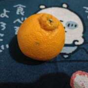 ヒメ日記 2025/03/16 08:00 投稿 りか 横浜人妻花壇本店