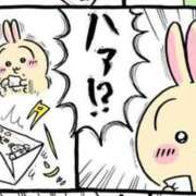 ヒメ日記 2025/03/20 08:15 投稿 りか 横浜人妻花壇本店