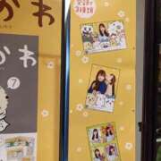 ヒメ日記 2025/03/20 20:03 投稿 りか 横浜人妻花壇本店