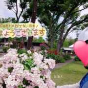 ヒメ日記 2025/03/22 11:30 投稿 りか 横浜人妻花壇本店