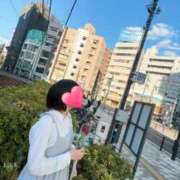 ヒメ日記 2025/03/25 12:02 投稿 りか 横浜人妻花壇本店