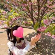 ヒメ日記 2025/03/27 12:01 投稿 りか 横浜人妻花壇本店