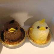 ヒメ日記 2025/03/31 08:00 投稿 りか 横浜人妻花壇本店