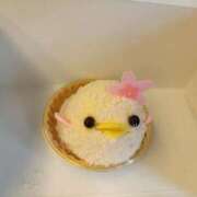 ヒメ日記 2025/04/01 08:00 投稿 りか 横浜人妻花壇本店