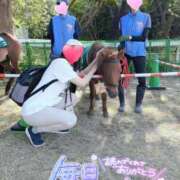 ヒメ日記 2025/04/06 21:02 投稿 りか 横浜人妻花壇本店