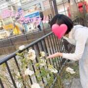 ヒメ日記 2025/04/07 11:01 投稿 りか 横浜人妻花壇本店