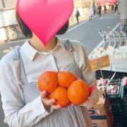 ヒメ日記 2025/04/09 10:15 投稿 りか 横浜人妻花壇本店