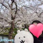 ヒメ日記 2025/04/10 11:01 投稿 りか 横浜人妻花壇本店