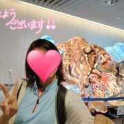 ヒメ日記 2025/04/10 12:01 投稿 りか 横浜人妻花壇本店