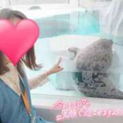 ヒメ日記 2025/04/13 10:06 投稿 りか 横浜人妻花壇本店