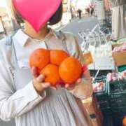 ヒメ日記 2025/04/14 12:01 投稿 りか 横浜人妻花壇本店