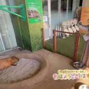 ヒメ日記 2025/04/16 12:02 投稿 りか 横浜人妻花壇本店