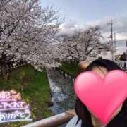 ヒメ日記 2025/04/17 15:07 投稿 りか 横浜人妻花壇本店