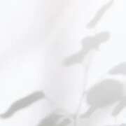 ヒメ日記 2025/04/19 08:05 投稿 りか 横浜人妻花壇本店