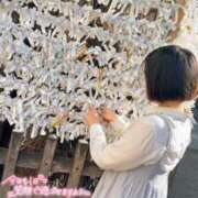 ヒメ日記 2025/04/19 12:06 投稿 りか 横浜人妻花壇本店