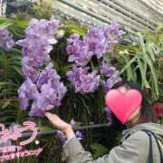 ヒメ日記 2025/05/07 08:05 投稿 りか 横浜人妻花壇本店