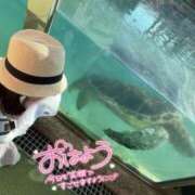 ヒメ日記 2025/05/20 12:02 投稿 りか 横浜人妻花壇本店