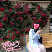 ヒメ日記 2025/05/22 15:04 投稿 りか 横浜人妻花壇本店