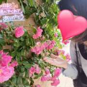 ヒメ日記 2025/05/25 14:03 投稿 りか 横浜人妻花壇本店