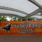 ヒメ日記 2025/05/26 16:21 投稿 りか 横浜人妻花壇本店