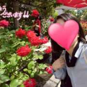 ヒメ日記 2025/06/01 08:06 投稿 りか 横浜人妻花壇本店