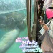 ヒメ日記 2025/06/01 15:04 投稿 りか 横浜人妻花壇本店