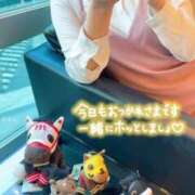 ヒメ日記 2025/06/02 22:06 投稿 りか 横浜人妻花壇本店