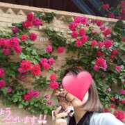 ヒメ日記 2025/06/17 12:02 投稿 りか 横浜人妻花壇本店