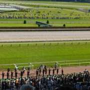 ヒメ日記 2025/06/24 20:10 投稿 りか 横浜人妻花壇本店