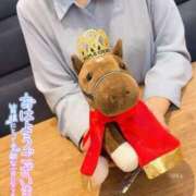 ヒメ日記 2025/06/25 12:22 投稿 りか 横浜人妻花壇本店