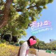 ヒメ日記 2025/07/06 12:03 投稿 りか 横浜人妻花壇本店