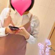 ヒメ日記 2025/07/07 15:02 投稿 りか 横浜人妻花壇本店