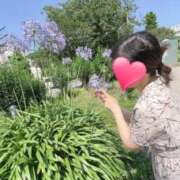 ヒメ日記 2025/07/25 10:03 投稿 りか 横浜人妻花壇本店