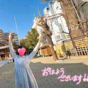 ヒメ日記 2025/07/26 10:08 投稿 りか 横浜人妻花壇本店