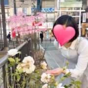 ヒメ日記 2025/07/27 10:06 投稿 りか 横浜人妻花壇本店