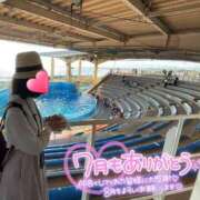 ヒメ日記 2025/07/31 15:06 投稿 りか 横浜人妻花壇本店